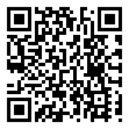 qr Code Url